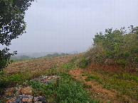 #5: View to the East