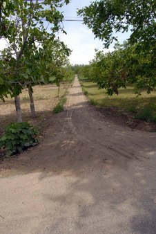 #1: Path leads to the confluence, 60 meters ahead.