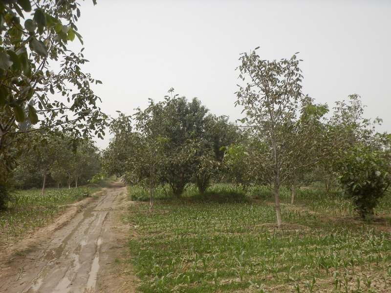 The Confluence from 20 m distance