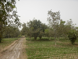 #1: The Confluence from 20 m distance