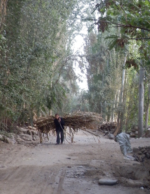 A boy transporting crops at the Confluence
