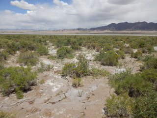 #1: The Confluence from 20 m distance