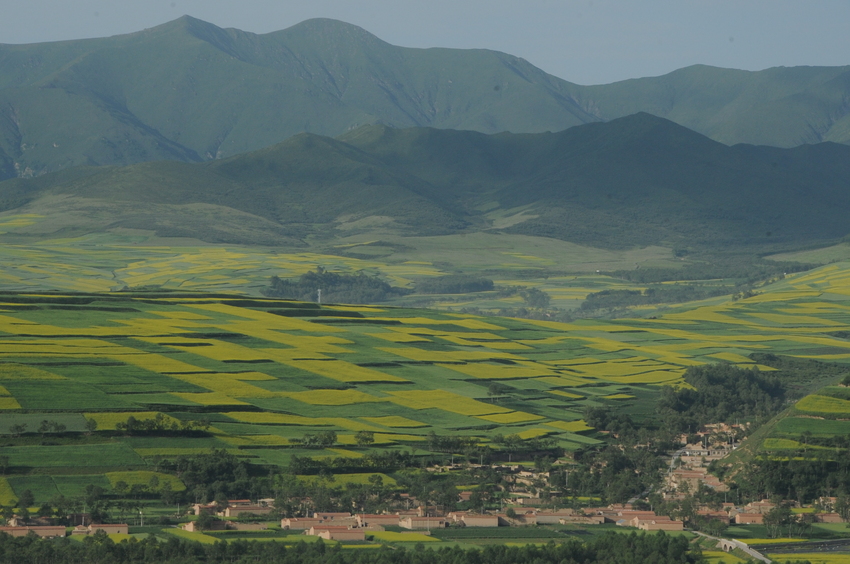 Landscape of Patchworks with Rapeseed Fields