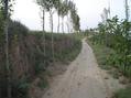 #6: Eastern View