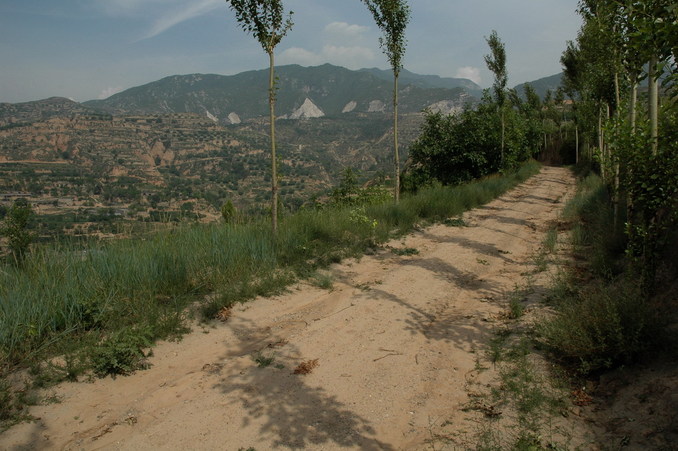 Confluence point located 15 meters away on the right of the road