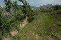 #2: East