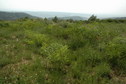 #4: West