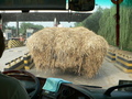 #4: A mobile haystack