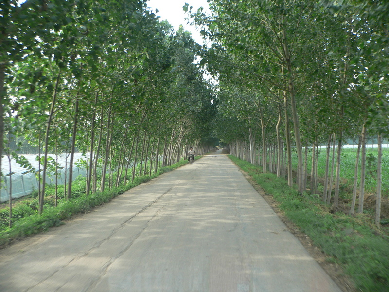Good, sealed road running north to Hābāgōu Village