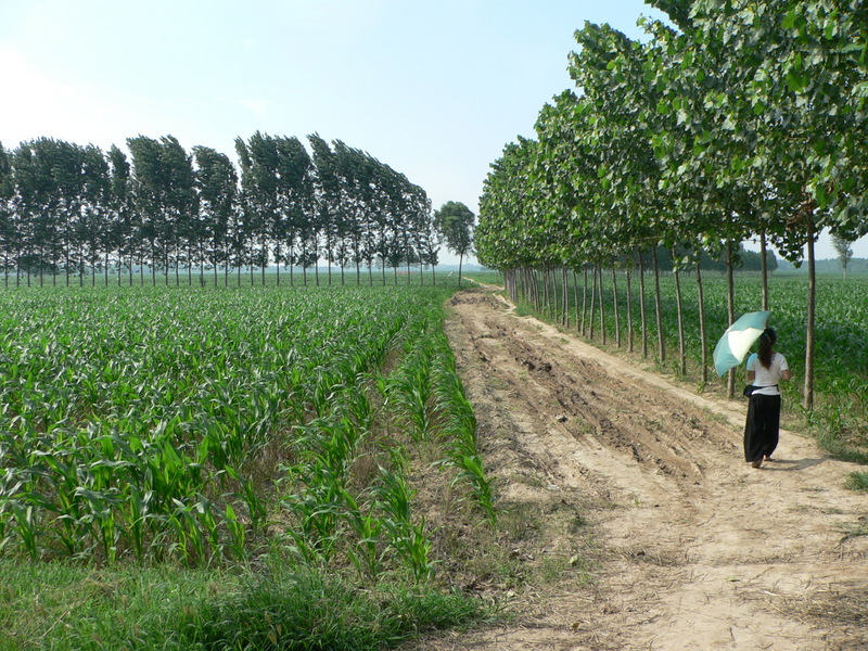 Ah Feng setting out on the dirt road leading to the confluence