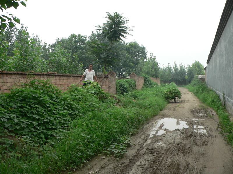 Dirt side road leading off towards the confluence