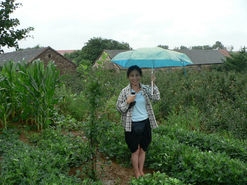 Ah Feng entering the peanut patch in the rain