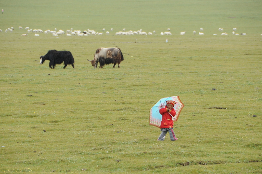 Girl Walking in the Rain 