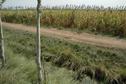 #3: South