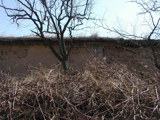 South view - the back wall of a house