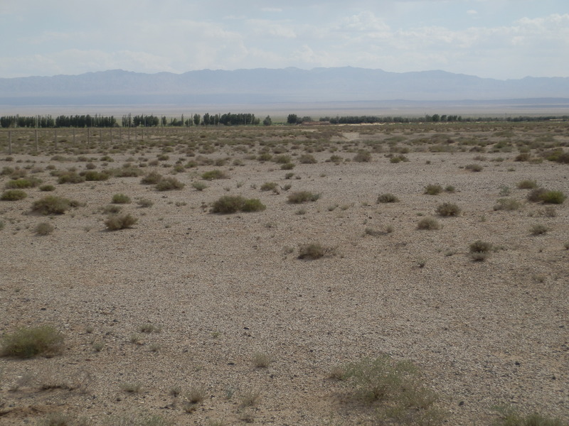 The Confluence from 20 m