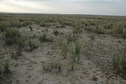 #4: North