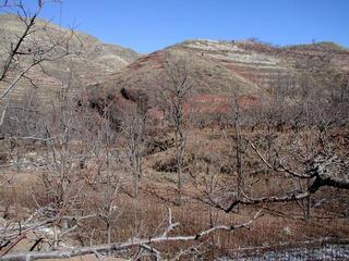 #1: General area - the point is located on half way up the left slop of the hill