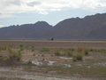 #5: Bike in Desert