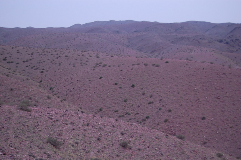 Looking North