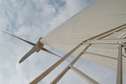 #7: Windmills everywhere!