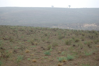 #1: Looking North