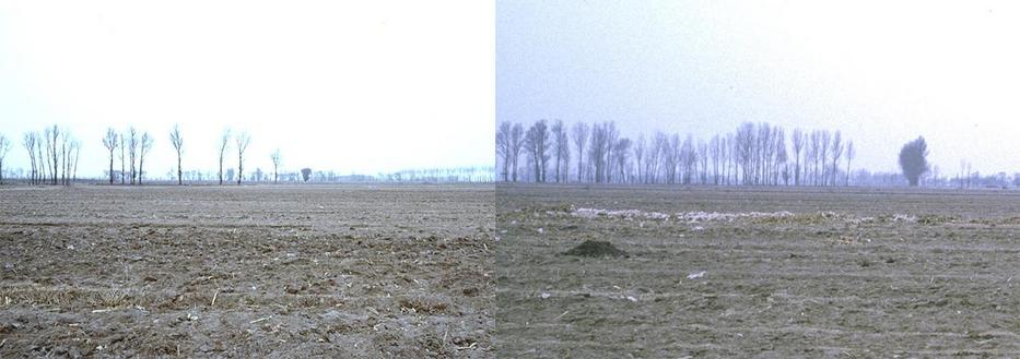 向东看景观 / 向西看景观 / Looking at the landscape to the east/ Looking at the landscape to the west