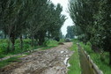 #7: The muddy road leading to the confluence point with an irrigation ditch we used to clean up the mud