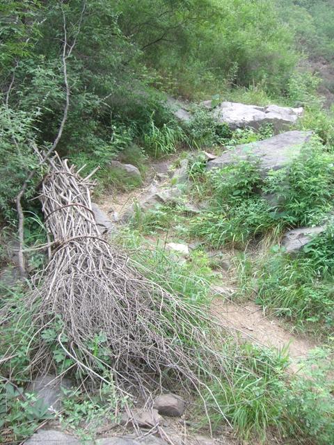 Trail to confluence