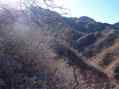 #3: view south
