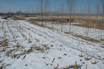 #1: CP located 100 meters away