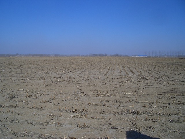 View to the North