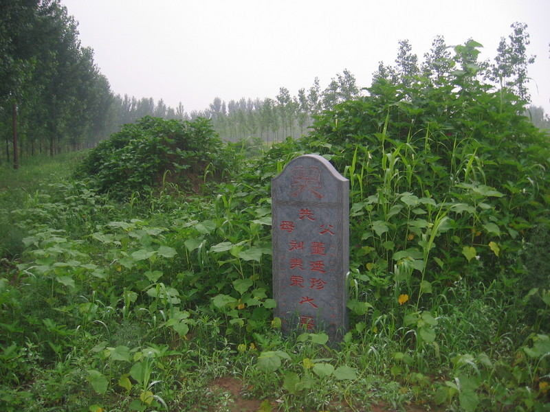 The Graves at a Distance of 30 m