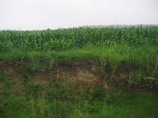 #1: The Confluence from 30m