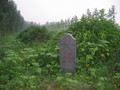 #5: The Graves at a Distance of 30 m