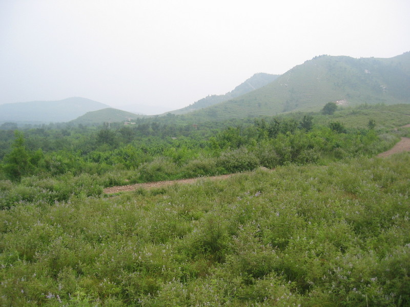 The Confluence from 25 m