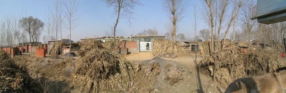 Northern view across the ditch with donkey as foreground