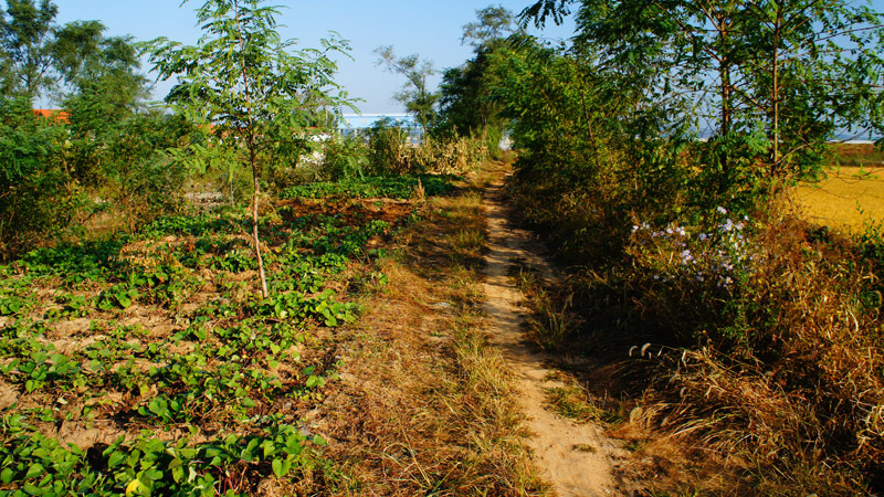 汇交点 / General view