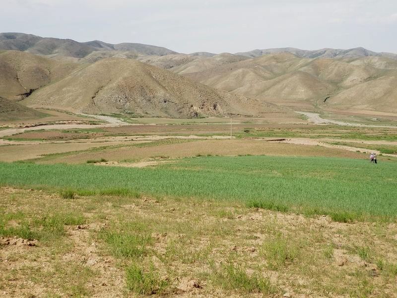 The Confluence from 20 m