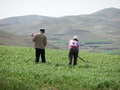 #6: Farmer Couple Weeding