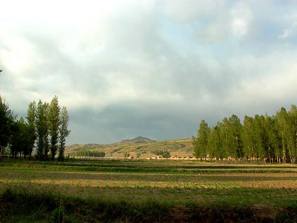 Field between road and river, look to North East