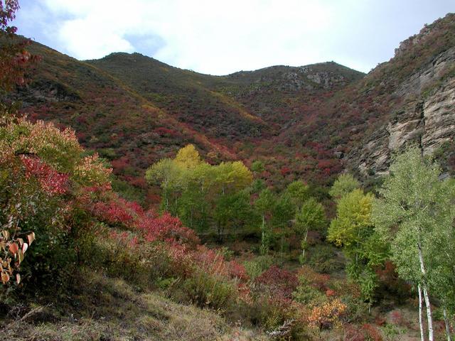 The point is located at the other side of this hill