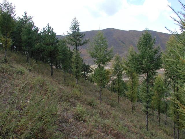 the view to the East from the point