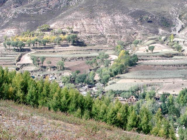 A distant view of the pine forest where the point is and the village nearby