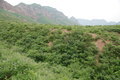 Visit #3: [05-Jul-12]