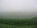 #9: View to the North