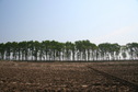 #7: East View from 41N 122E