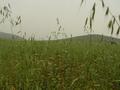 #6: east