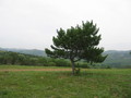 #7: View towards the Confluence from 2 km