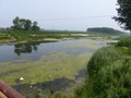 #3: Canal next to the confluence